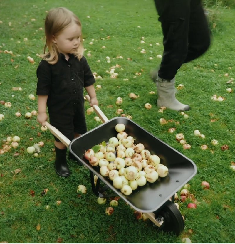 Wheelbarrow Mini